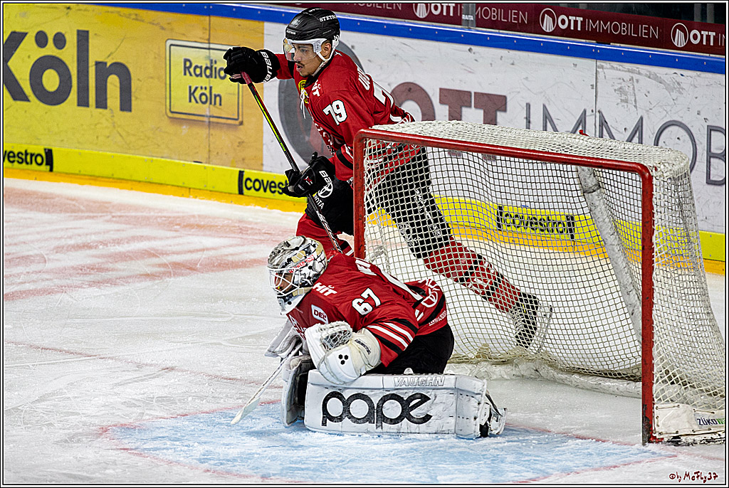 DEL; Koelner Haie - Eisbaeren Berlin; Koeln, 06.03.2020